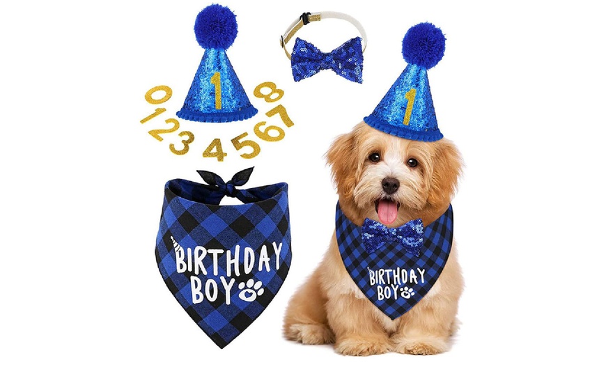 Image 6: Dog Birthday Bandana Scarf and Hat with Numbers