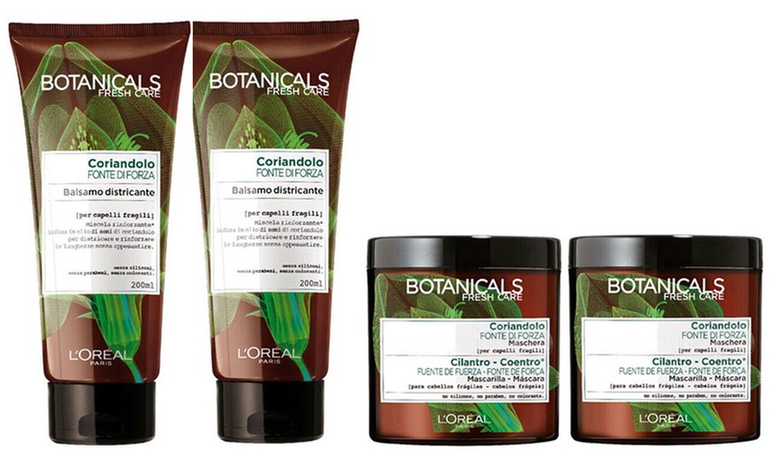 Image 5: Maschera o balsamo L'Oreal Botanicals Fresh Care