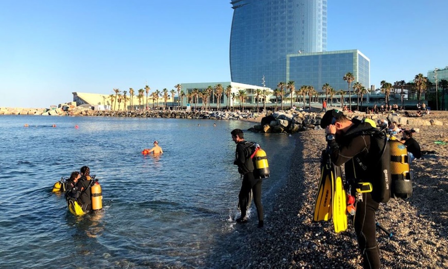 Image 1: Bautizo de buceo para 1 a 4 personas con fotos en Underwater Barcelona