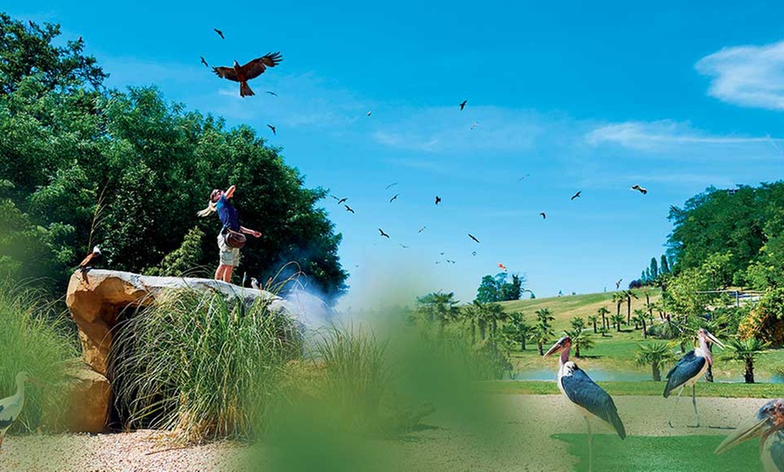 Image 11: Entrée au ZooParc de Beauval