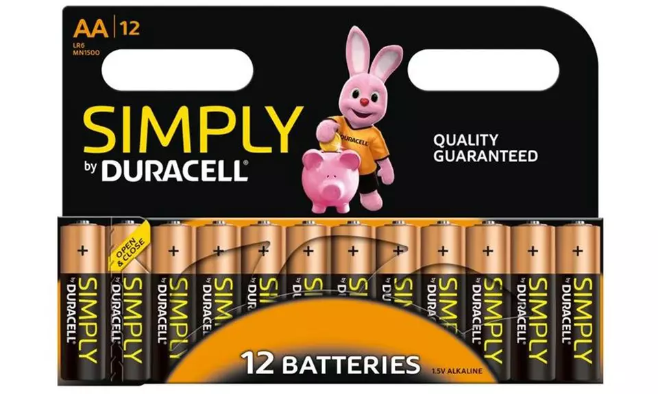 AA or AAA Duracell Batteries