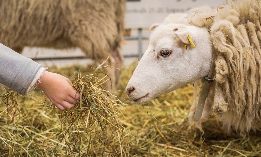 Image 14: Tagesticket Messe agra 2019