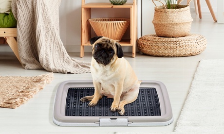 1 o 2 vassoi per i bisogni degli animali