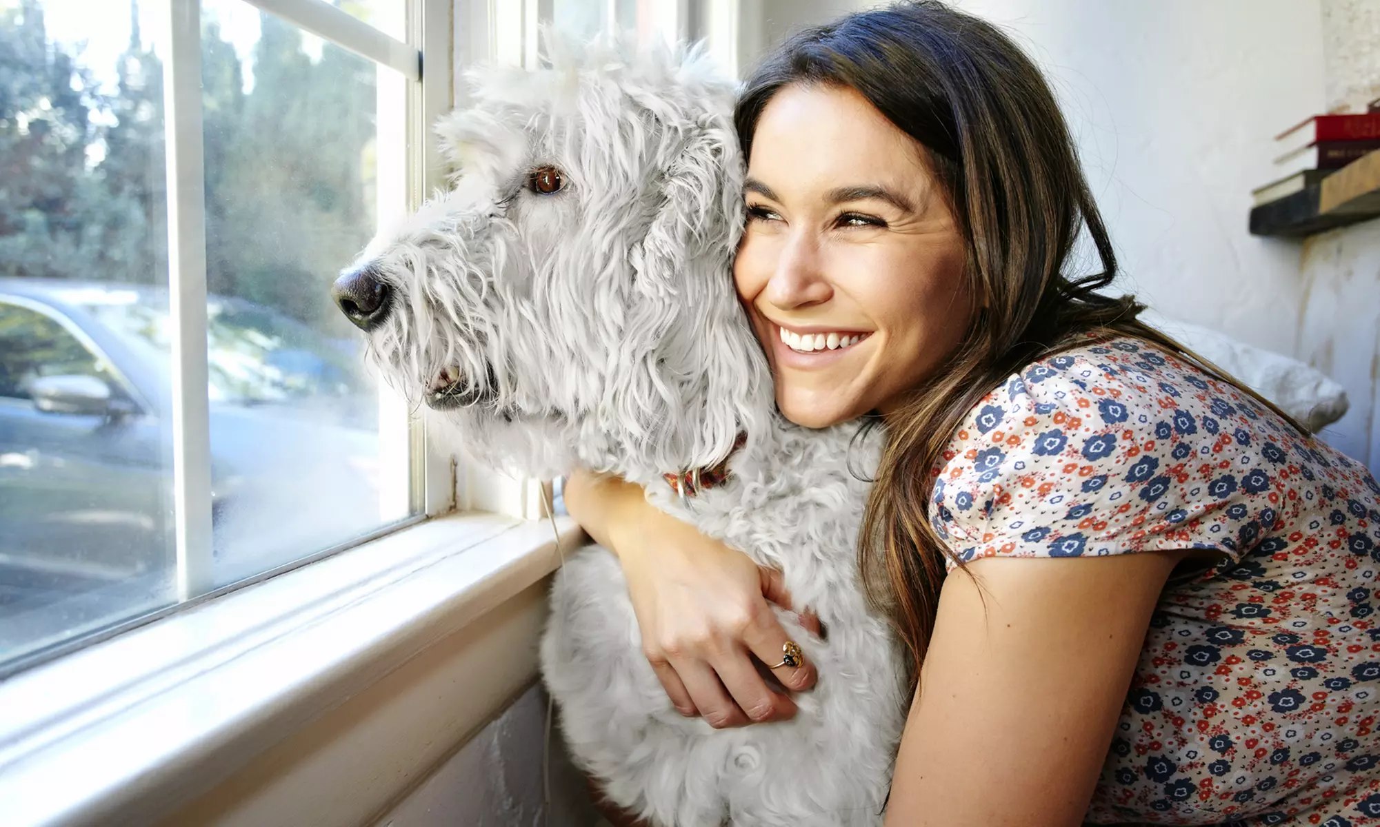 Unlock Courses and Master Pet Care: Courses in First Aid, Behavior, Grooming, Sitting & More (Up to 60% Off)