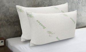 Bamboo Cover Memory Foam Pillows