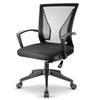 Image 2: Adjustable Office Chair with Lumbar Support