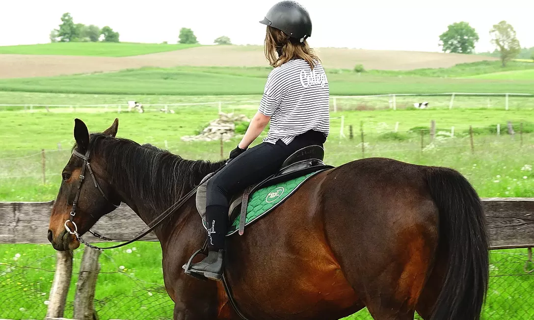 Mazury, Ostróda: pokój dla 2 osób z wyżywieniem, basenem i masażem