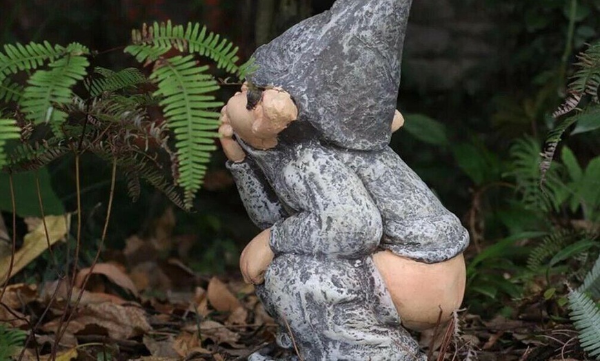 Image 20: Funny Gnome