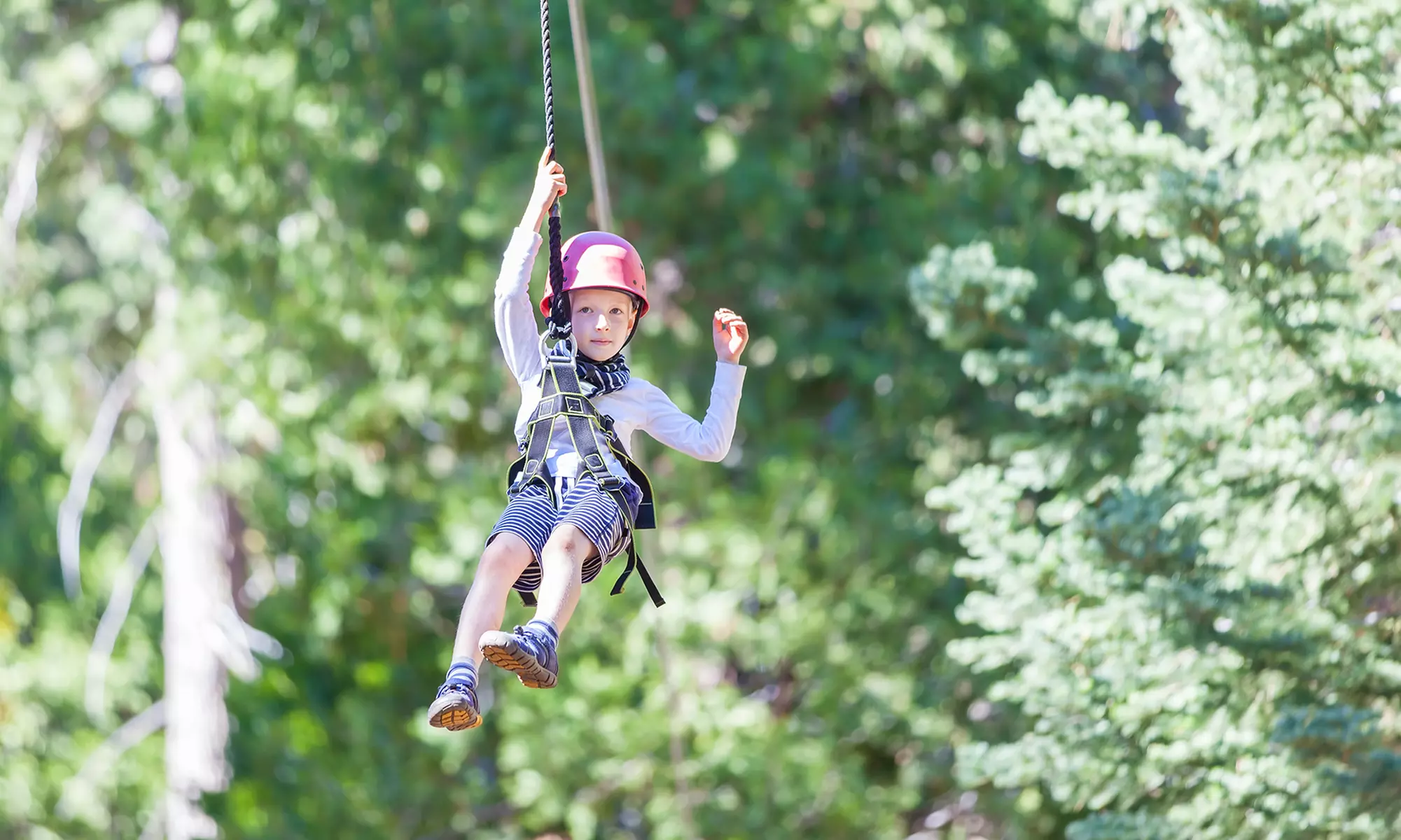 Treetop-Climbing and Ziplining Course for Two or Four at Mountain Ridge Adventure (Up to 47% Off)   - Primary Image