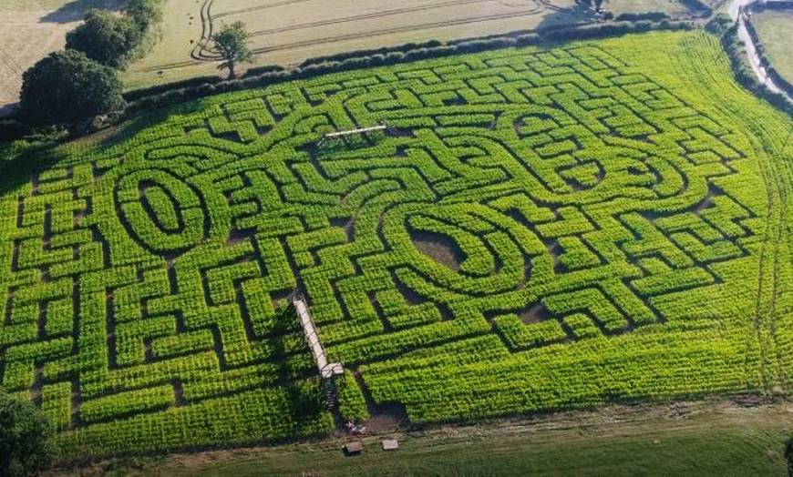 Image 1: Maize Maze Entry for Two