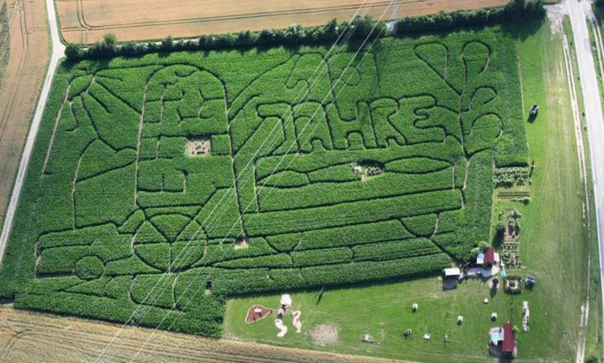 Image 3: Maislabyrinth bei Horb