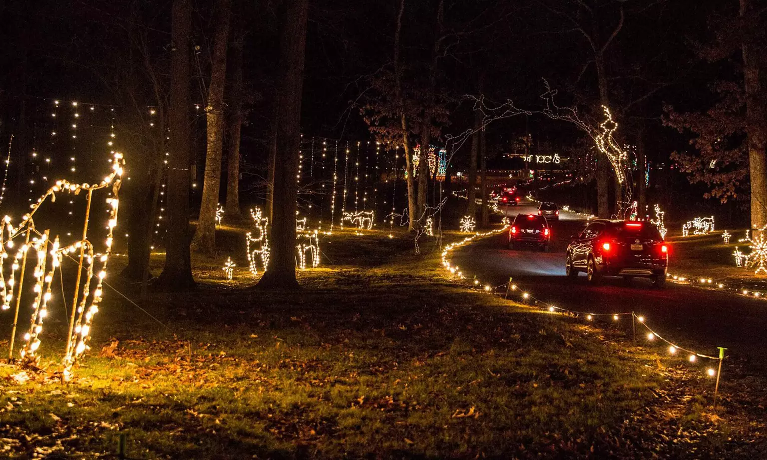 $15 for Symphony of Lights Drive-Through Admission for One Car or Van ($20 Value) - Primary Image