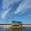 Image 4: Four-Hour Catamaran Cruise with Lunch for Up to 20 People