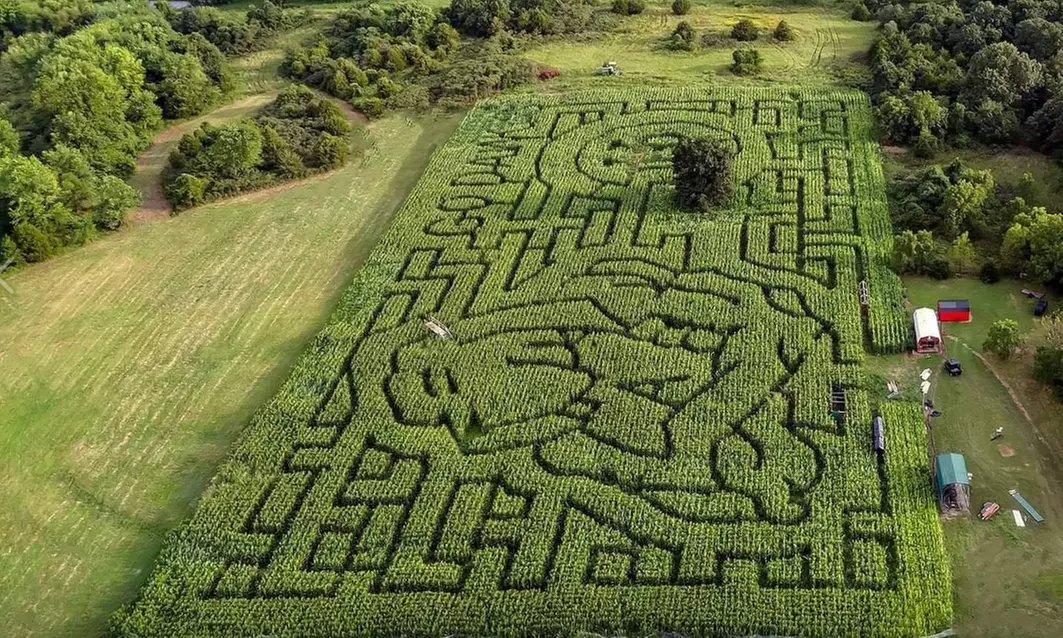 Maze Admission with Unlimited Courtyard Activities for One, Two, or Four at Aurora Maize (Up to 28% Off) - Primary Image