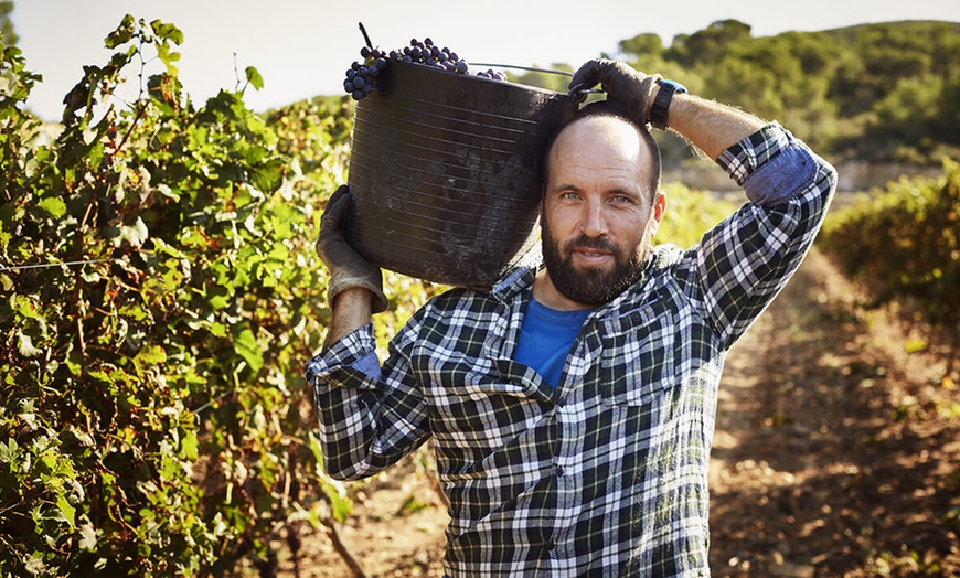 Image 5: Dégustation de 12 vins du monde avec Isabelle de Castel