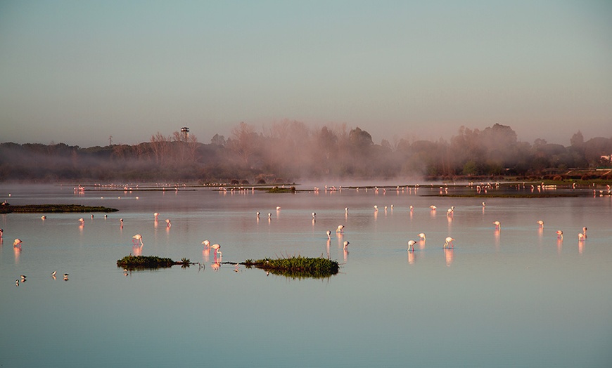 Image 5: Visita al Parque Nacional Doñana