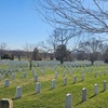 Image 11: New York City and Washington DC Day Tours Packages