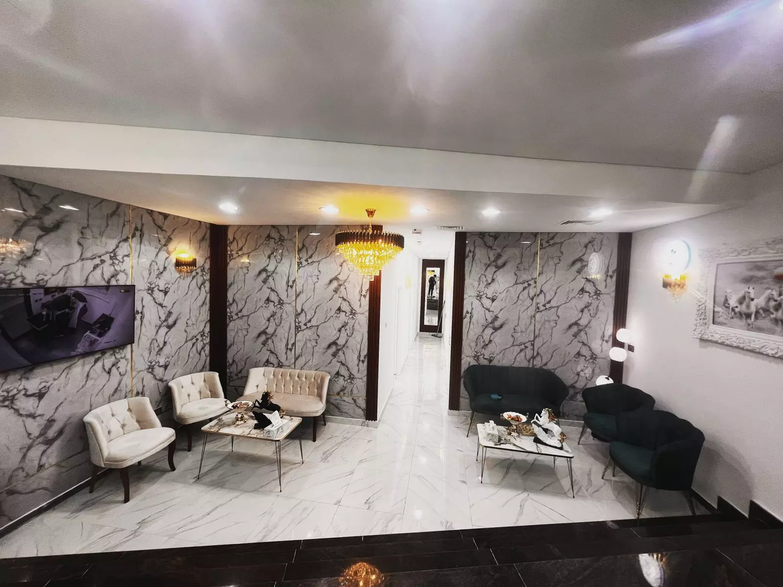 Dog/Cat Medical Check Up at Al Raha Veterinary Clinic