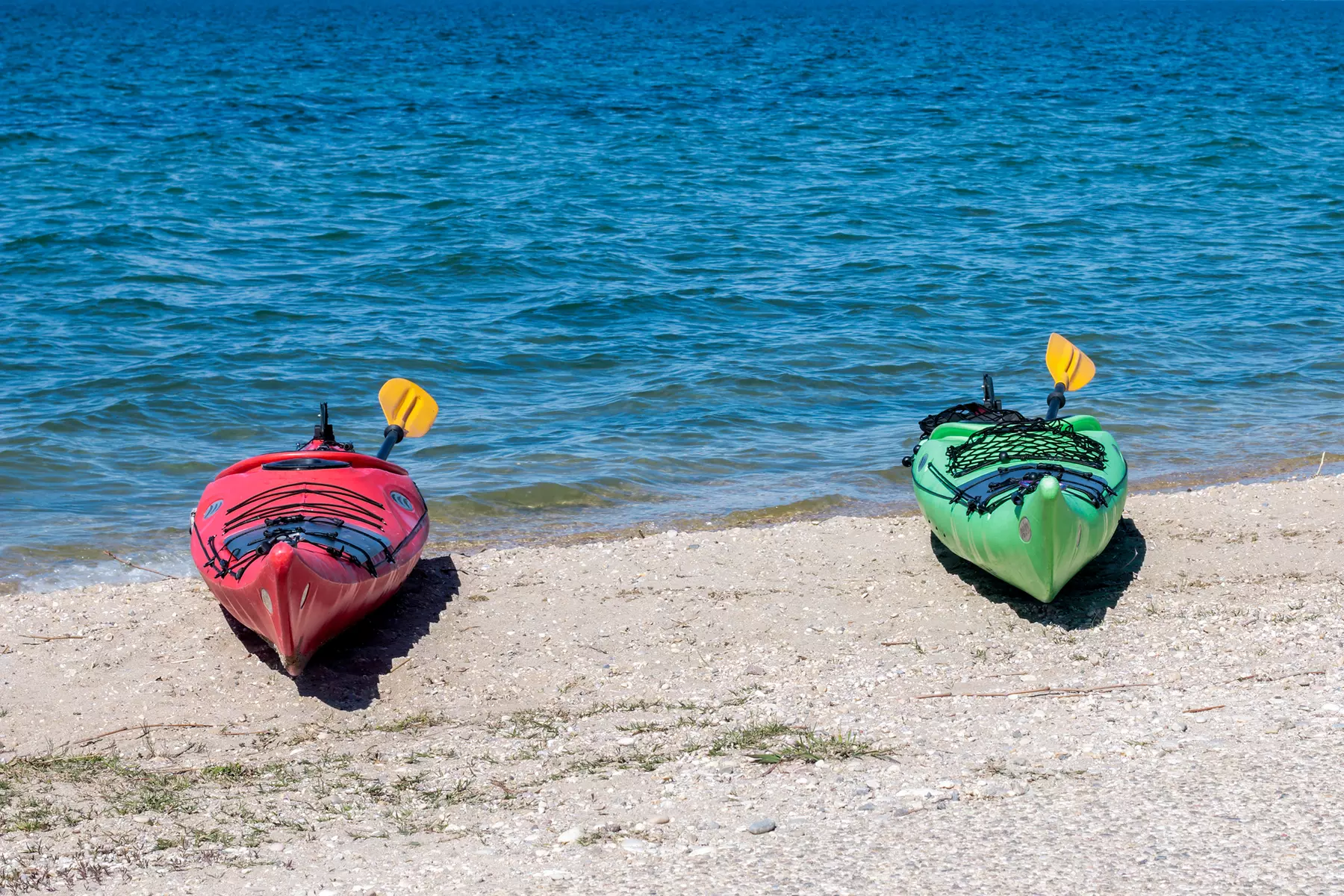 Explore Waves with Paddleboard and Kayak Rentals