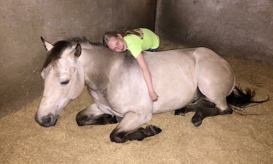 Image 5: Up to 20% Off on Summer Camp at Sneak Away Riding Club