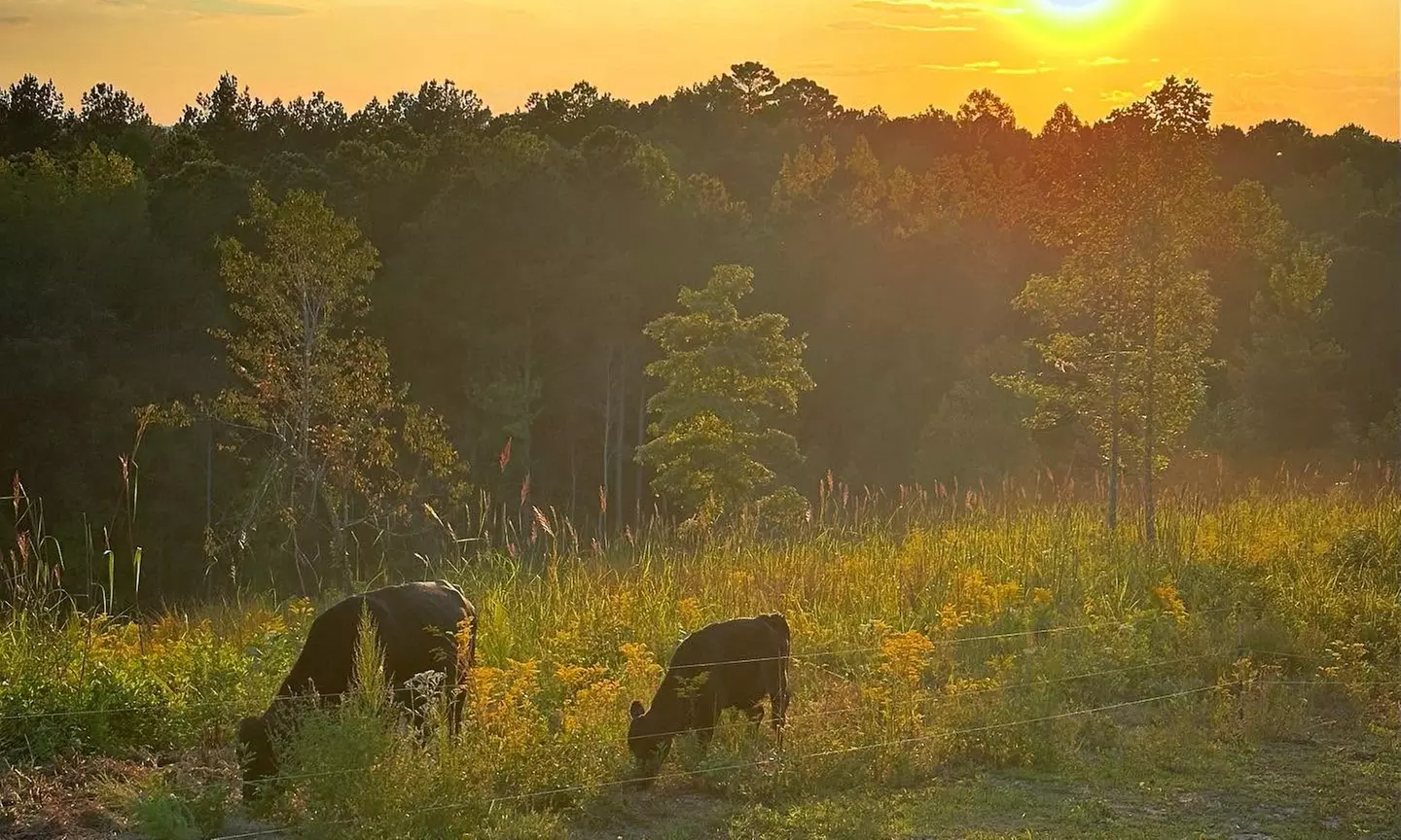 $100/$150 Worth of Farm Goods+Farm-to-Table Cookbook+1 Hr Private Tour