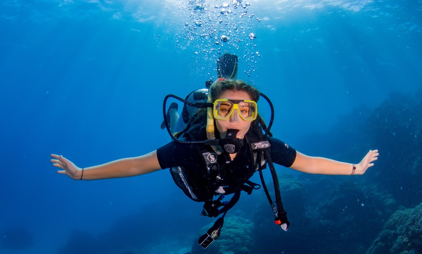 Image 1: Three-Hour Try SCUBA Experience