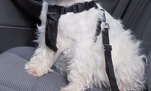 One, Two or Three Pet Seatbelts