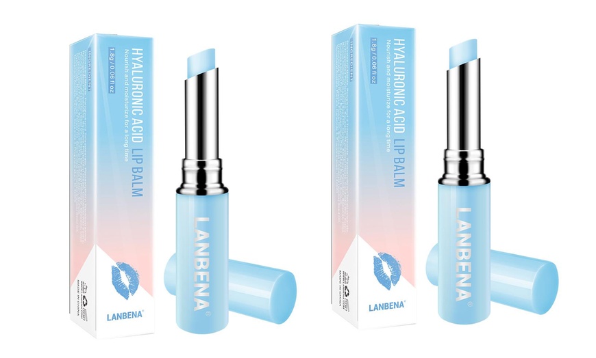 Image 3: Hyaluronic Acid Lip Balm