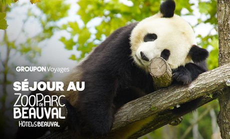 Beauval : chambre familiale avec petit-déjeuner et entrée au ZooParc