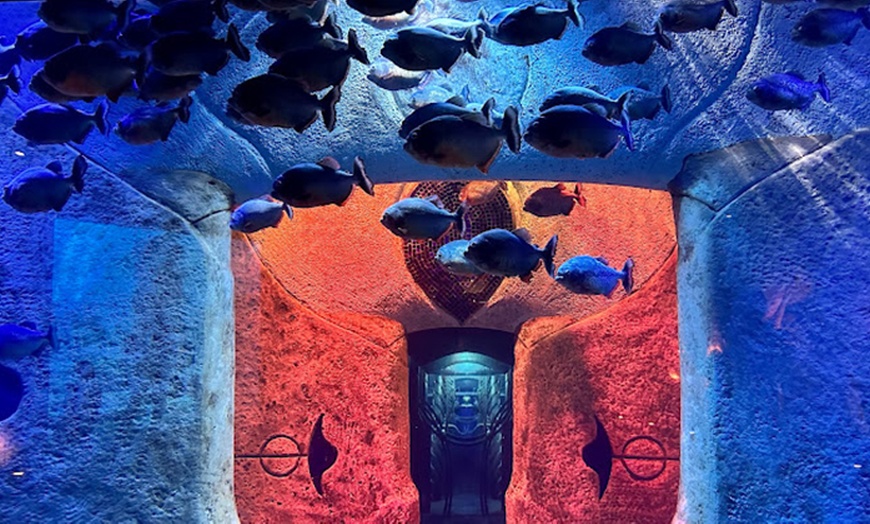 Image 8: Explore Dubai’s Lost Chambers Aquarium: Tickets for One, Two, or Four