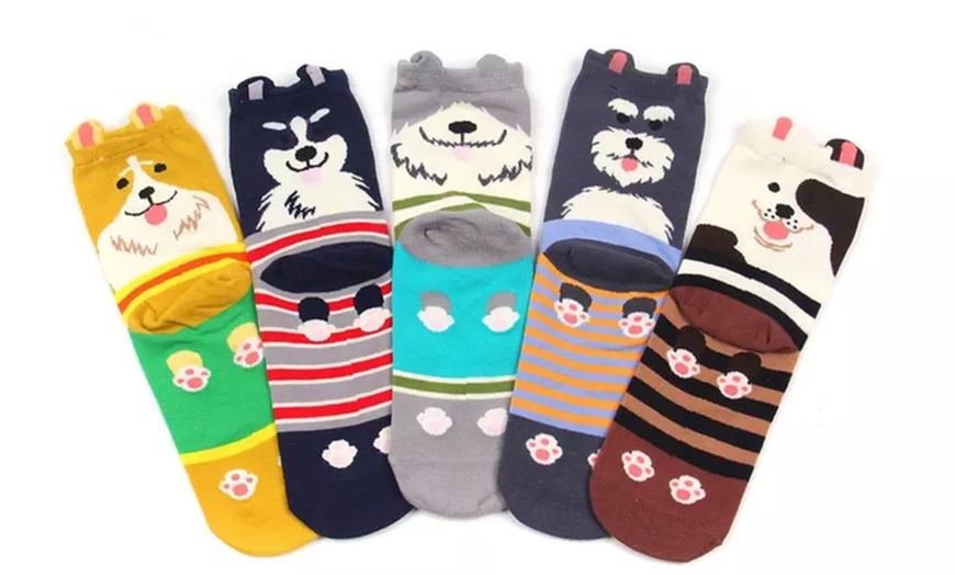 Image 4: 1, 5 ou 10 paires de chaussettes colorées à motifs chiens