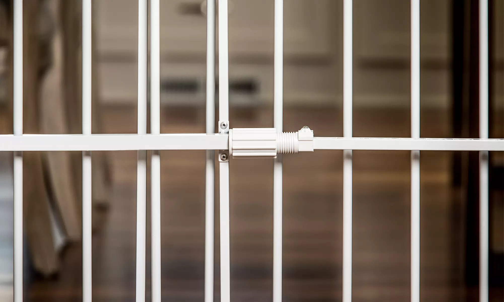 Carlson Big Tuffy Expandable Gate with Small Pet Door - Second Medium