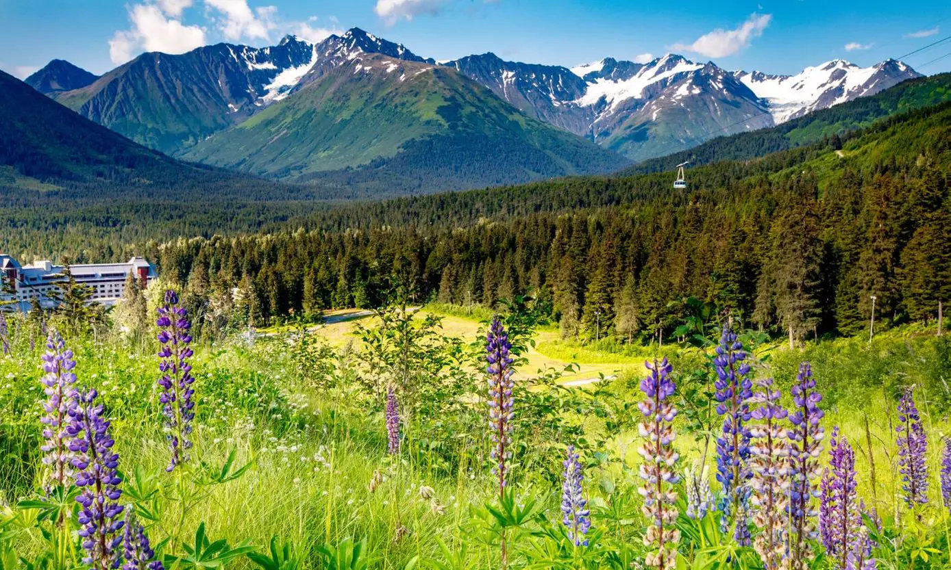 $55 for Aerial Tram Dine and Ride Package for Two at Alyeska Resort ($78 Value) - Primary Image