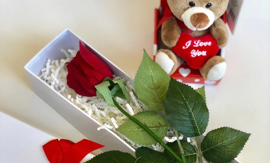 Image 7: Rose and Teddy Bear + Delivery