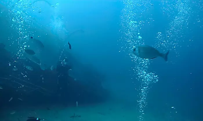 Nurkowe Intro dla 1 lub 2 osób lub kurs Open Water Diver