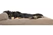 Furhaven Pet Chaise Lounge Sofa-Style Pillow Dog Bed - Second Medium