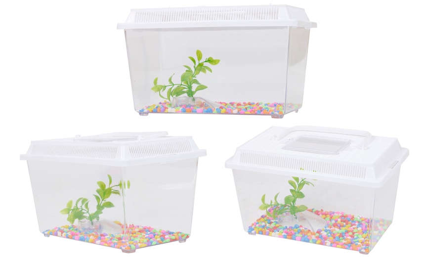 Image 5: Aquarium Fish Tank Starter Kit