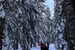 Guided Snowshoeing in Mt St Helens or Mt. Hood for 4 Hours; Private Tour of Up to 10 People Available - Second Medium