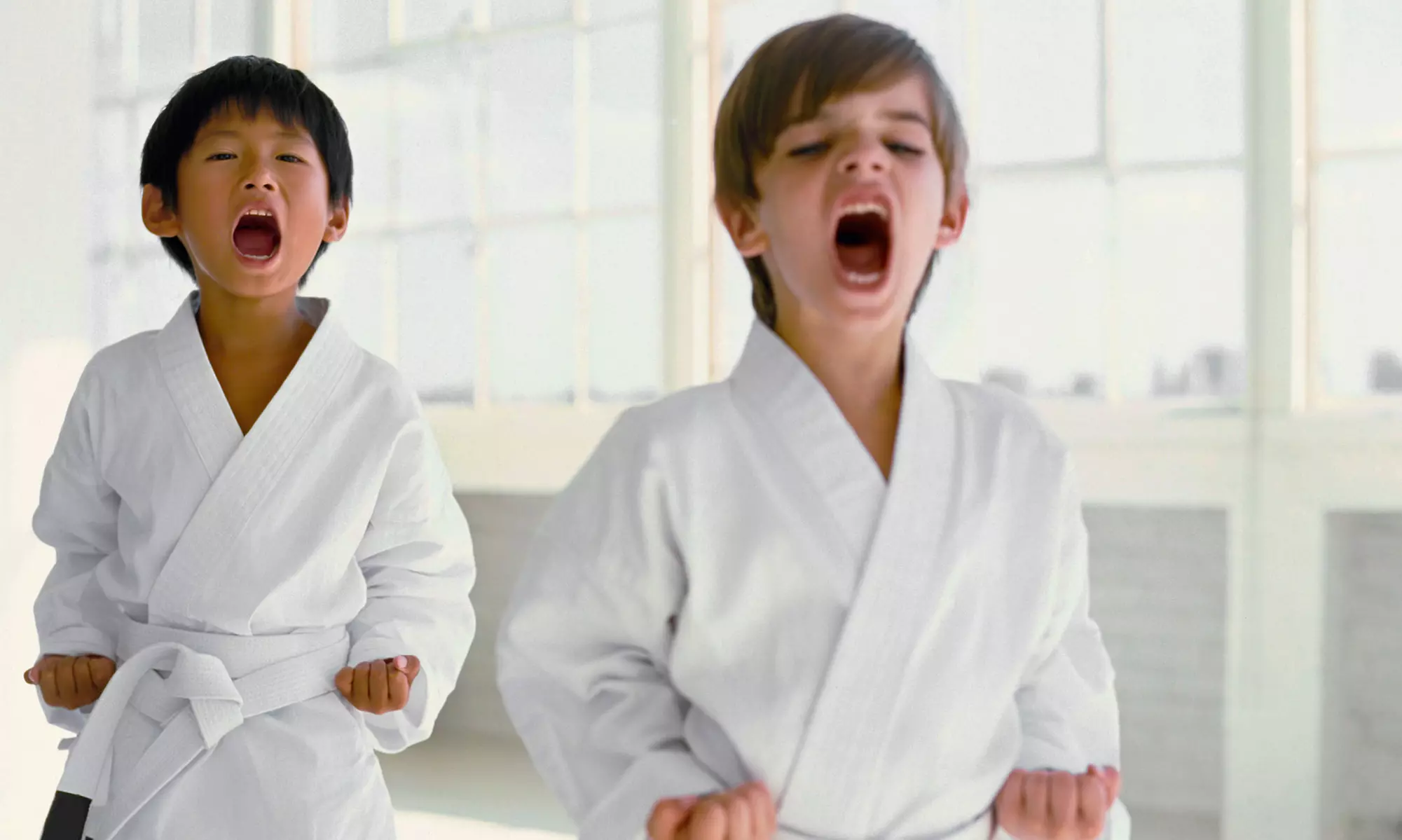 One or Two Months of Karate Training at Professional Karate Studios - Champlin (Up to 89% Off) - Primary Image