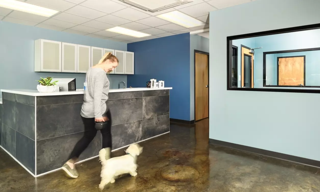 Up to 49% Off on Healthcare - Pet (Retail) at PetWellClinic - Arvada - Primary Image