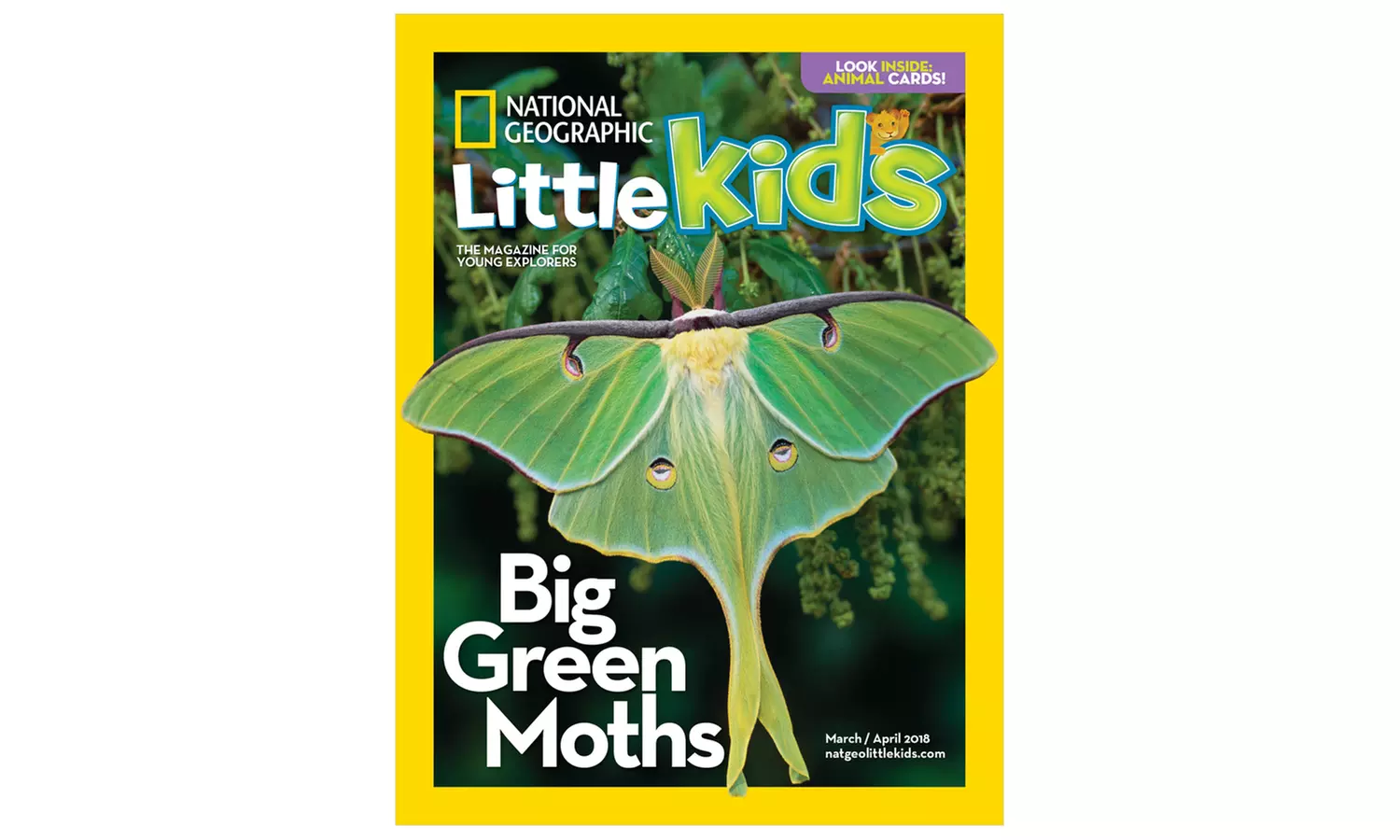 National Geographic Little Kids Magazine Subscription (Up to 48% Off) - Primary Image