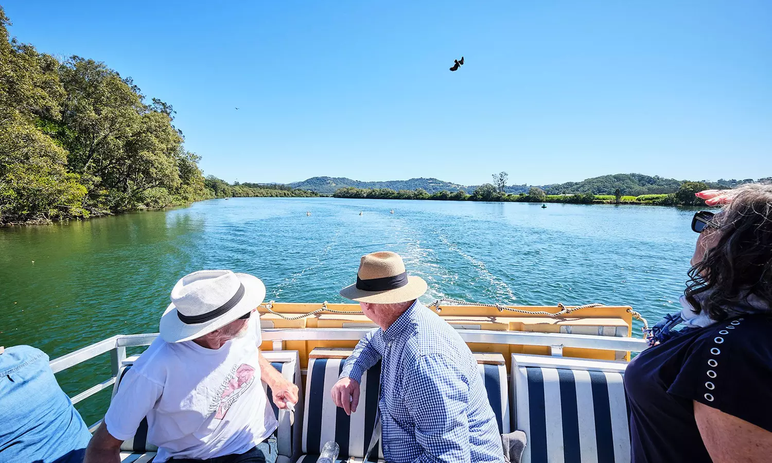 2.5-Hr Rainforest River Cruise with Seafood for 2 Ppl ($179) or Family of 4 ($290) with Tweed Escapes (Up to $320 Value) - Primary Image