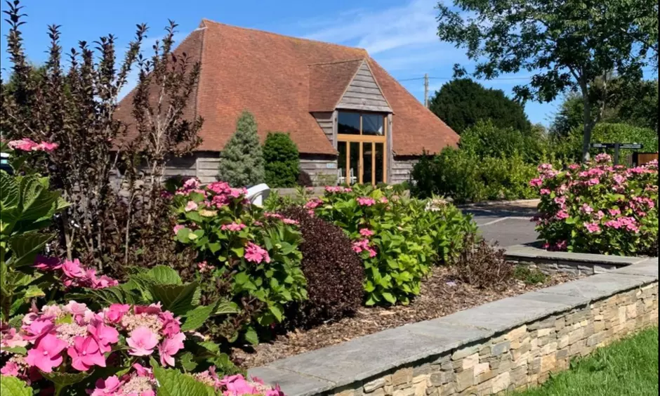 Relax with Afternoon Tea for Two or Four in Picturesque Hampshire