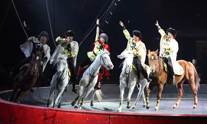 Shrine Circus (June 24—July 17)  - Primary Image