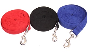 Dog Outdoor Training Leash