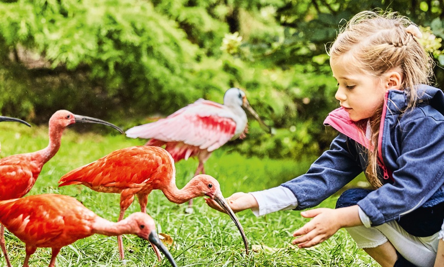 Image 8: Tageskarte Weltvogelpark Walsrode