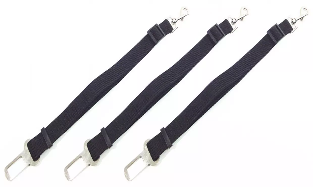 1, 2 ou 3 ceintures de sécurité voiture pour chien - Second Medium