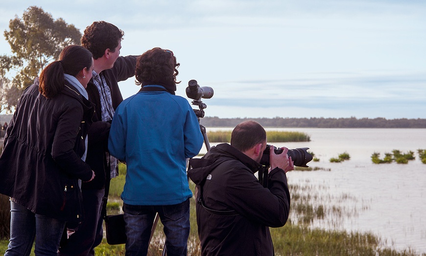 Image 4: Visita al Parque Nacional Doñana