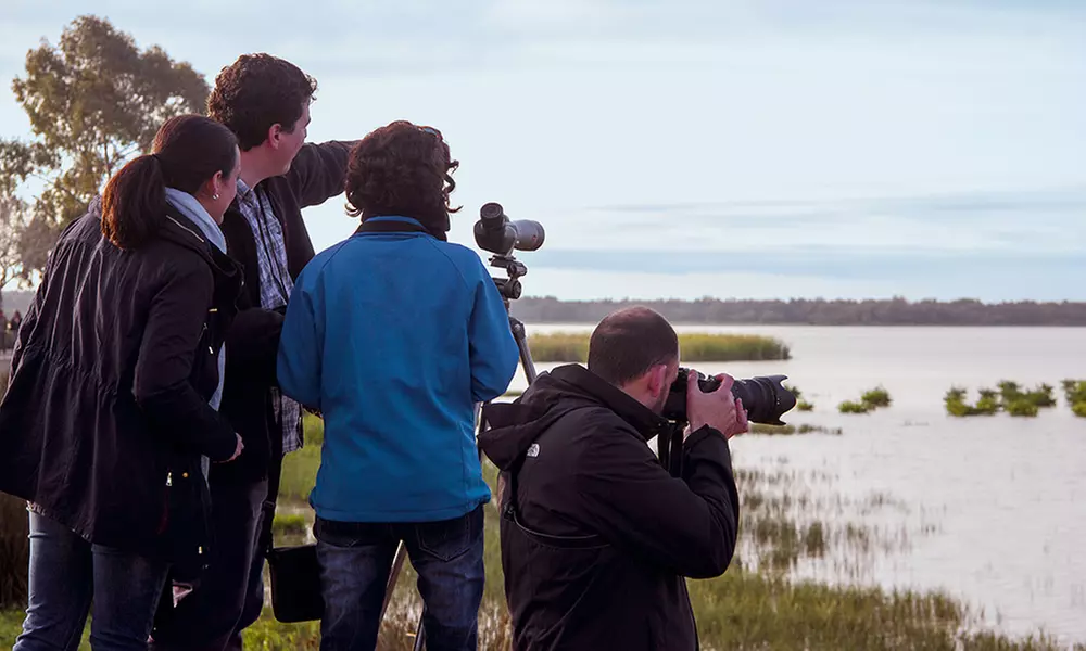 Visita guiada al Parque Nacional de Doñana en 4x4 para adulto o niño