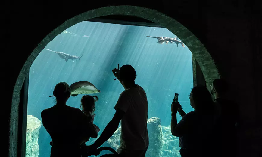 Image 11: Vive un viaje educativo y salvaje con una entrada a Bioparc Fuengirola